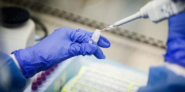 A laboratory technician prepares COVID-19 patient samples for semi-automatic testing at Northwell Health Labs, Wednesday, March 11, 2020, in Lake Success, N.Y. The U.S. Food and Drug Administration has approved faster testing protocols as the viral outbreak continues to spread worldwide. (AP Photo/John Minchillo)
