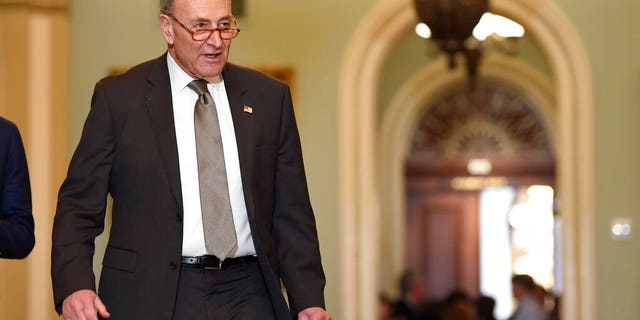 Senate Minority Leader Sen. Chuck Schumer of N.Y., arrives for a news conference on Capitol Hill in Washington, Tuesday, Feb. 25, 2020. (AP Photo/Susan Walsh)