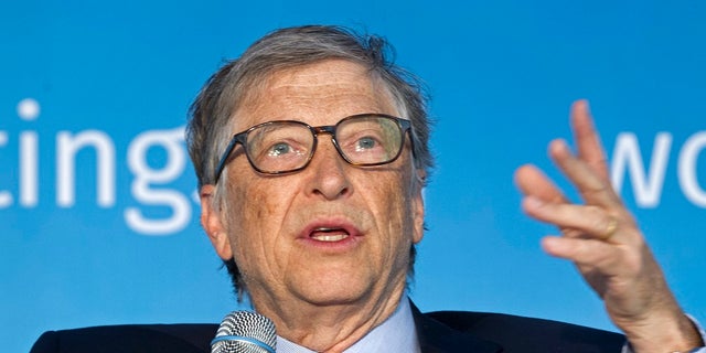 Microsoft co-founder Bill Gates - file photo.