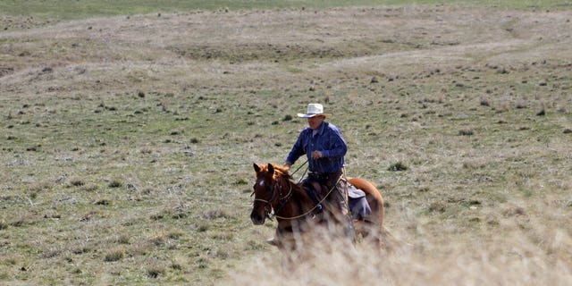 A cattle rancher near Dufur, Oregon, helping a friend herd cattle earlier this month.