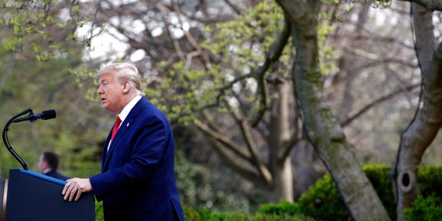 President Donald Trump speaking during a coronavirus task-force briefing in the Rose Garden of the White House on Sunday. (AP Photo/Patrick Semansky)