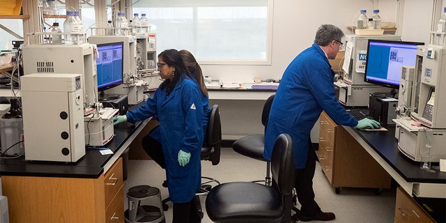 People work in a lab that President Donald Trump watched during his meeting about the coronavirus at the Centers for Disease Control and Prevention, Friday, March 6, 2020 in Atlanta. (AP Photo/Alex Brandon)