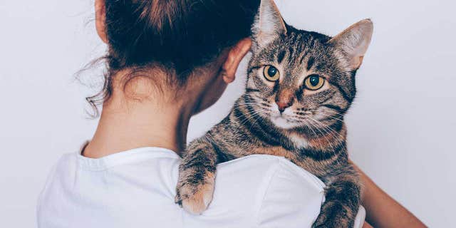 Tabby, a dating app specifically for cat lovers, launched on Saturday. (iStock)