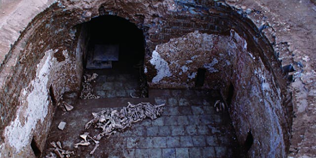 The donkey bones were discovered in Cui Shi’s tomb.