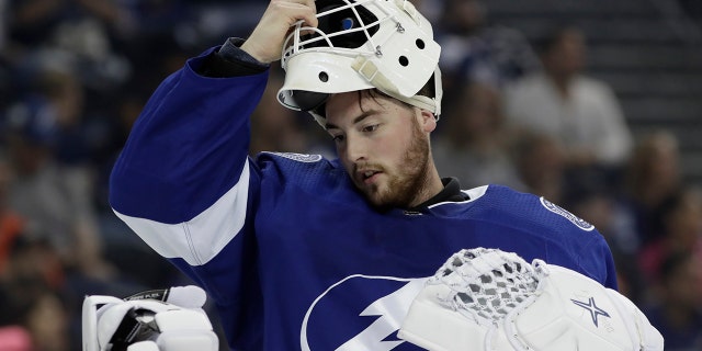 In this Sept. 22, 2018, file photo, Tampa Bay Lightning goaltender Connor Ingram is shown during the third period of an NHL preseason hockey game against the Nashville Predators, in Tampa, Fla. (AP Photo/Chris O'Meara)