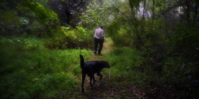 Miller walks the heavily wooded compound grounds followed by a guard dog at his West Virginia property in this August 2019 photo. (Photo by Michael S. Williamson/The Washington Post)