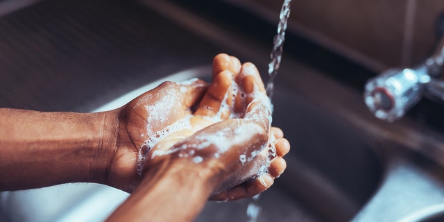 Washing your hands frequently (and properly) is of paramount importance these days.