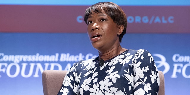 MSNBC's Joy Reid has been promoted to the 7 p.m. weeknight spot. (Photo by Earl Gibson III/Getty Images)