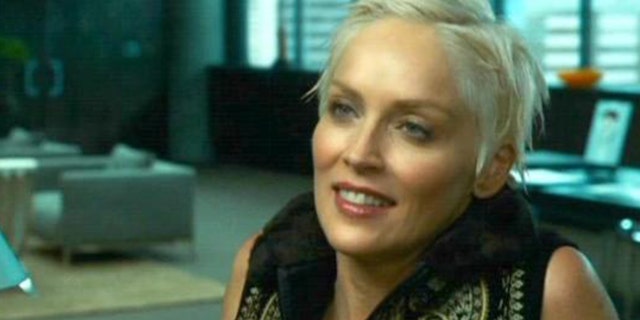 Sharon Stone in 'Catwoman.'
