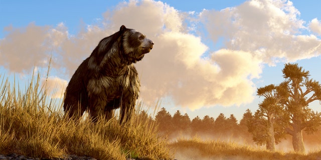 最後の氷河期に絶滅した動物であるショートフェイス・ベアという変わった姿のクマが、太古の北米の湿地帯の岩場の深い草むらに座っています。 3Dレンダリング。 (iStock)