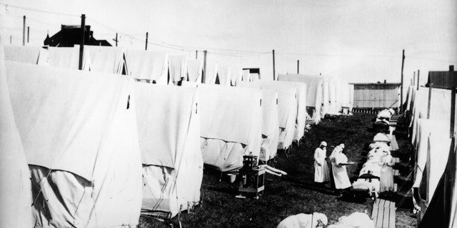 More Than 100 Years Before Coronavirus, The Spanish Flu Pandemic ...