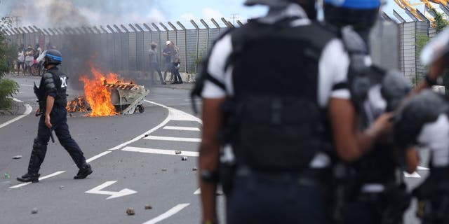 Police officers face demonstrators protesting against the arrival of the passengers of the Sun Princess cruise ship.