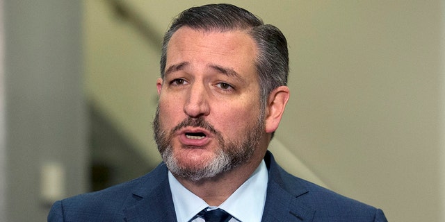 Sen. Ted Cruz R-Texas, speaks to the media during the impeachment trial of President Donald Trump.