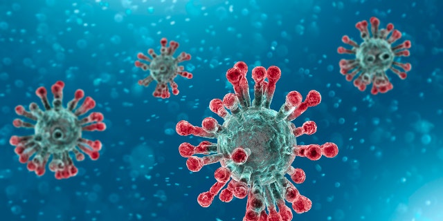 Microscopic view of Coronavirus, a pathogen that attacks the respiratory tract. (Fox News)