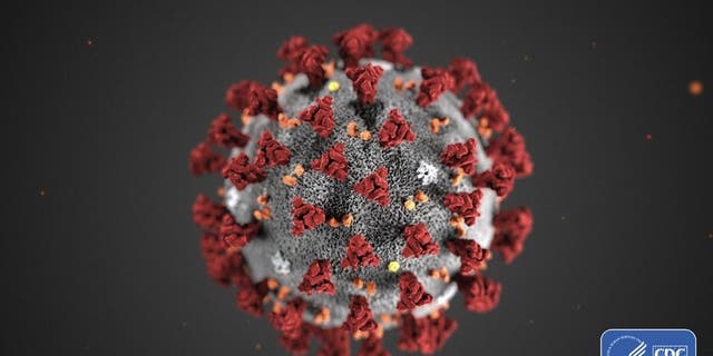 Coronavirus. Courtesy of the CDC