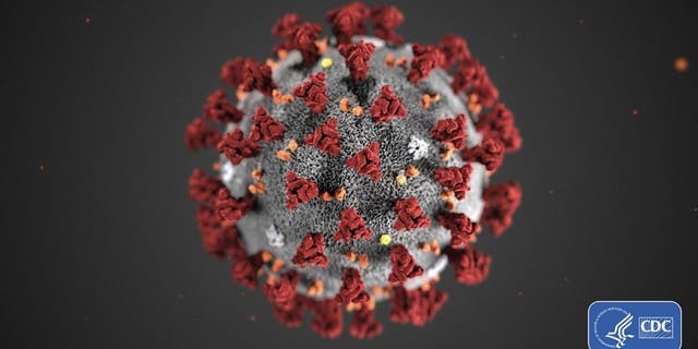 Coronavirus. Courtesy of the CDC