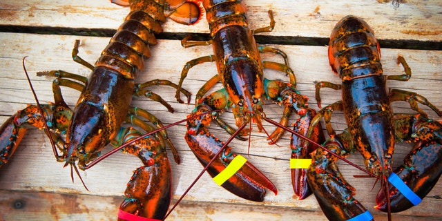 The ongoing coronavirus outbreak is drowning Chinese demand for American lobster, reportedly plunging market prices to record lows.