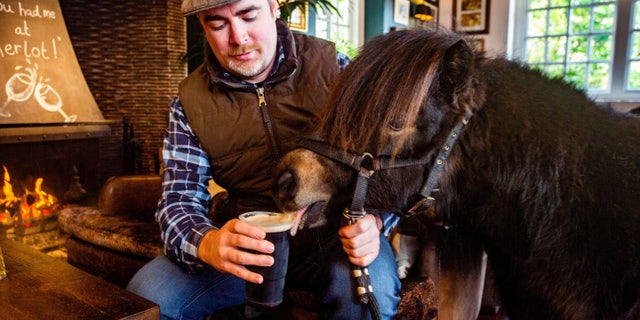 Petrakis started taking Patrick to The Drum Inn in Devonas soon as he got him three months ago.