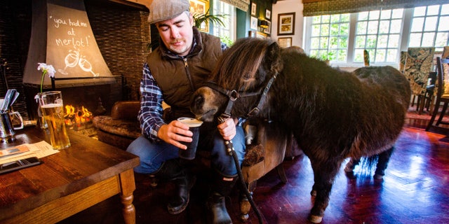 Patrick, who was born on St. Patrick's Day in 2018, will celebrate his second birthday at the pub.