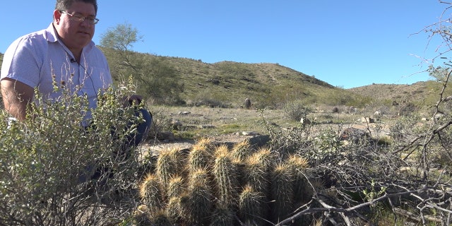 Javier Gurrola is a member of the Central Arizona Cactus and Succulent Society. The club is made up of about 580 strong. They help educate and protect local cactus. (Stephanie Bennett/Fox News).