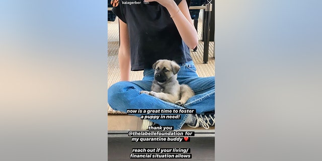 Kaia Gerber shows off her new adopted puppy.