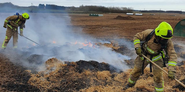 Firefighters extinguished an 800-square-foot area near four pig pens.