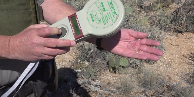 Ten years ago Saguaro National Park started pit tagging some of their most vulnerable cactus. (Stephanie Bennett/Fox News).