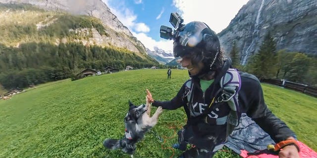 Image result for This is the thrilling moment a fearless dog parachutes off a cliff with his owner and plunges more than 2,000 feet.