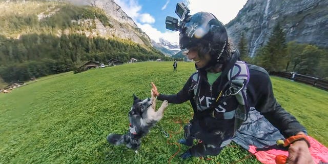 "I found a harness – super safe – and I tried to see his reaction when I put it on and went to the ledge. He seemed pretty comfortable,” the dog owner claimed.