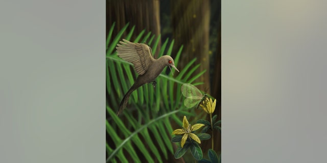 Worldâs smallest dinosaur discovered: âWeâve never seen anything like itâ â TimeNewsDesk