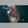Satellite image provided by Maxar Technologies shows an aerial view of the Statue of Liberty in New York, March 11, 2020.