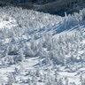 A pair of hikers snowshoe through a forest of rime ice-covered spruce trees on the eastern slope of Mt. Marcy, New York's tallest mountain, near Keene, New York, March 7, 2020.
