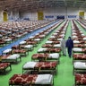 People in protective clothing walk past rows of beds at a temporary 2,000-bed hospital for coronavirus patients set up by the Iranian army at the international exhibition center in Tehran, March 26, 2020.