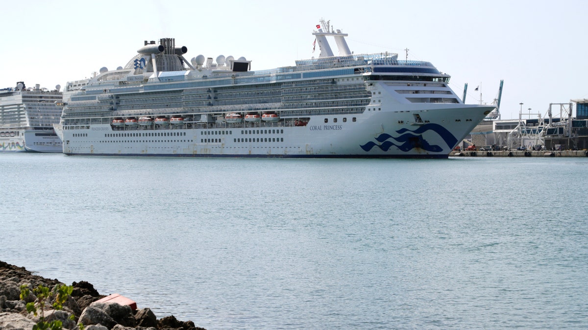 The Coral Princess cruise ship arrives at PortMiami during the new coronavirus outbreak on April 4. (AP Photo/Lynne Sladky)