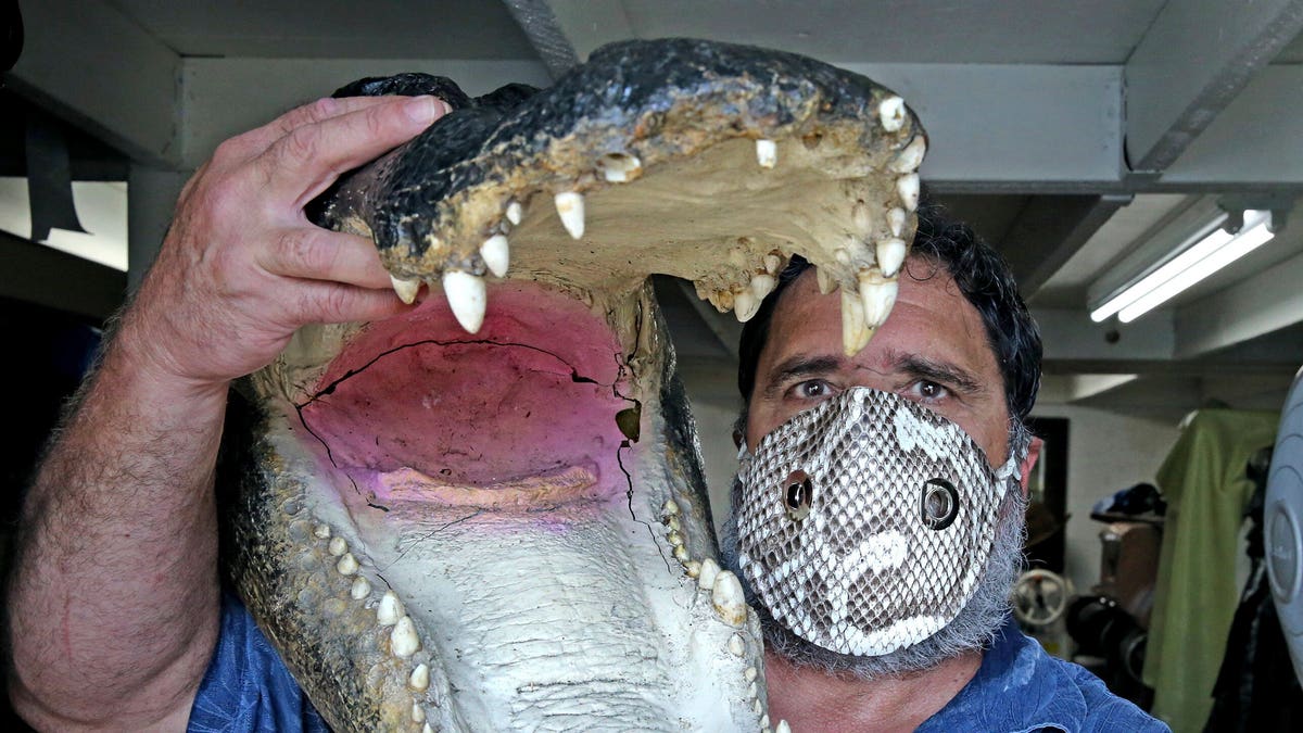 Brian Wood holds an alligator head as he wears a mask made from an invasive Florida python snake in his workshop in Dania, Fla on April 8. (Charles Trainor, Jr./Miami Herald via AP)