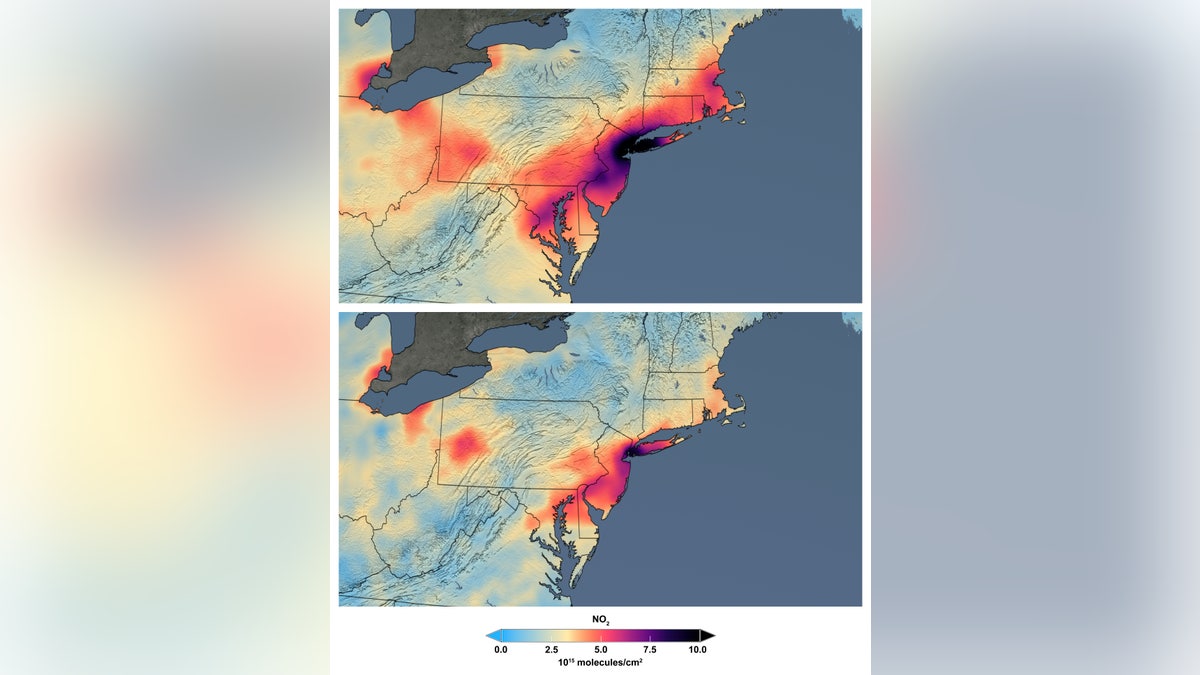 These maps made available by NASA shows the average concentration of nitrogen dioxide in March as people stay home against the COVID-19 coronavirus. NO2 is a noxious gas emitted by motor vehicles, power plants, and industrial facilities. (NASA via AP)
