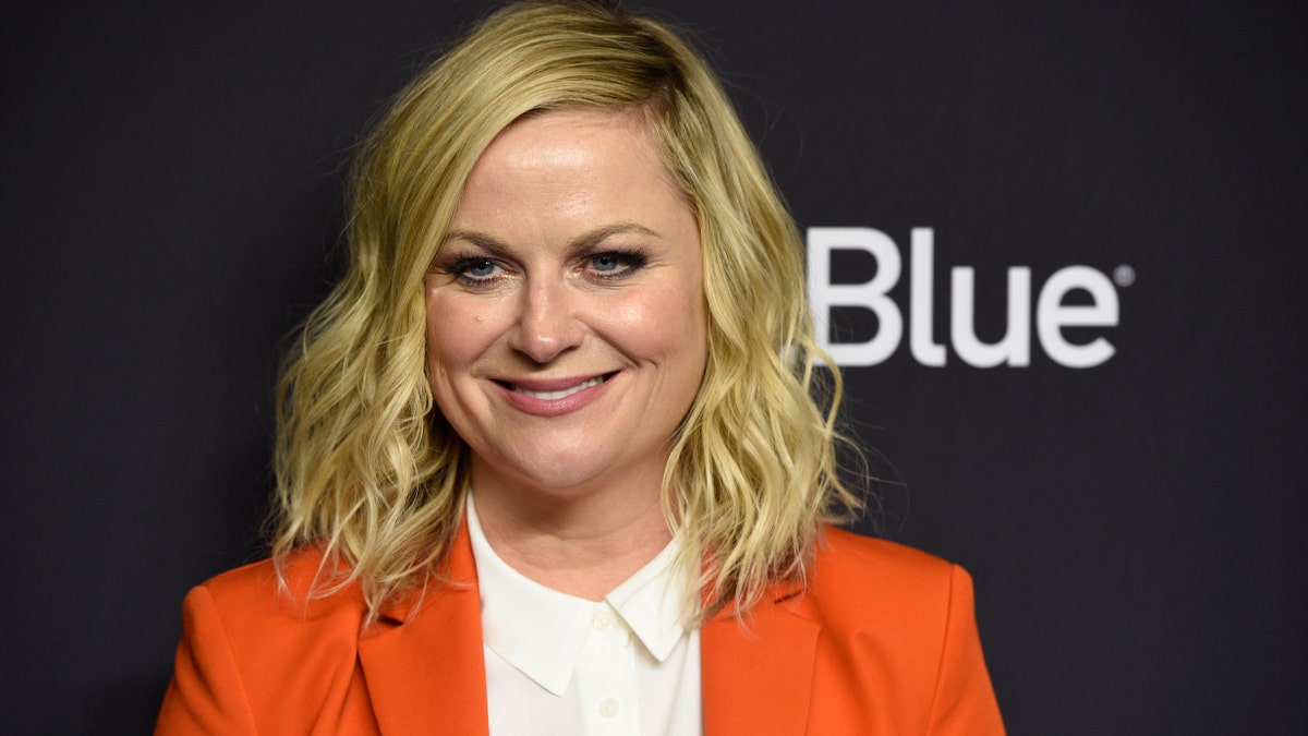 "Saturday Night Live" alum Amy Poehler starred in "Parks and Recreation" on NBC for seven seasons. (Photo by Chris Pizzello/Invision/AP)
