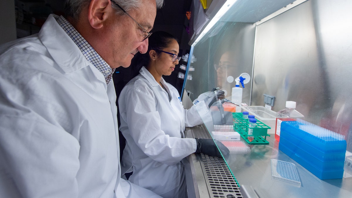 Director of Wistar’s Vaccine &amp; Immunotherapy Center Dr. David Weiner (left) oversees the work of research assistant professor Dr. Ami Patel, prior to COVID-19 pandemic. 