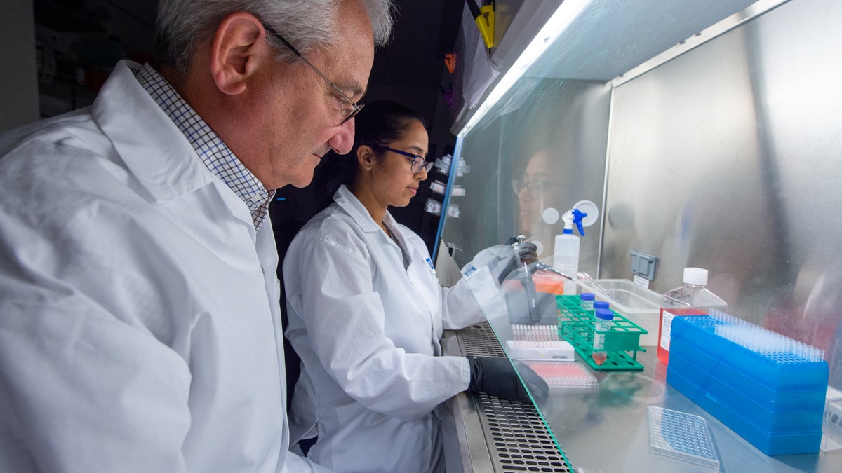 Director of Wistar’s Vaccine & Immunotherapy Center Dr. David Weiner (left) oversees the work of research assistant professor Dr. Ami Patel, prior to COVID-19 pandemic.