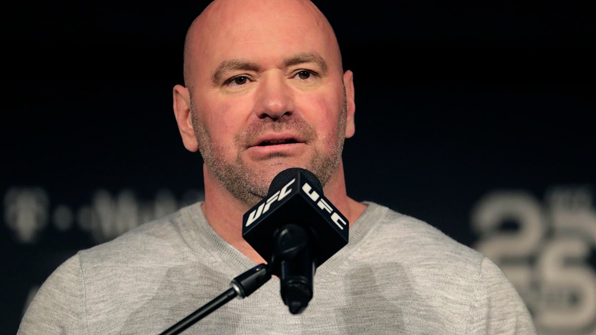 UFC was one of the first sports back in the spring. (AP Photo/Julio Cortez, File)