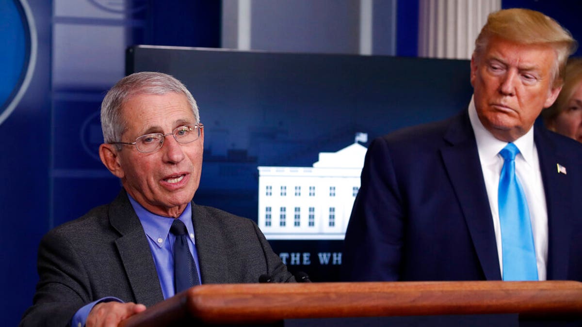 President Trump listens as Dr. Anthony Fauci, director of the National Institute of Allergy and Infectious Diseases, speaks about the coronavirus on Tuesday, April 7, 2020, in Washington. (AP Photo/Alex Brandon)