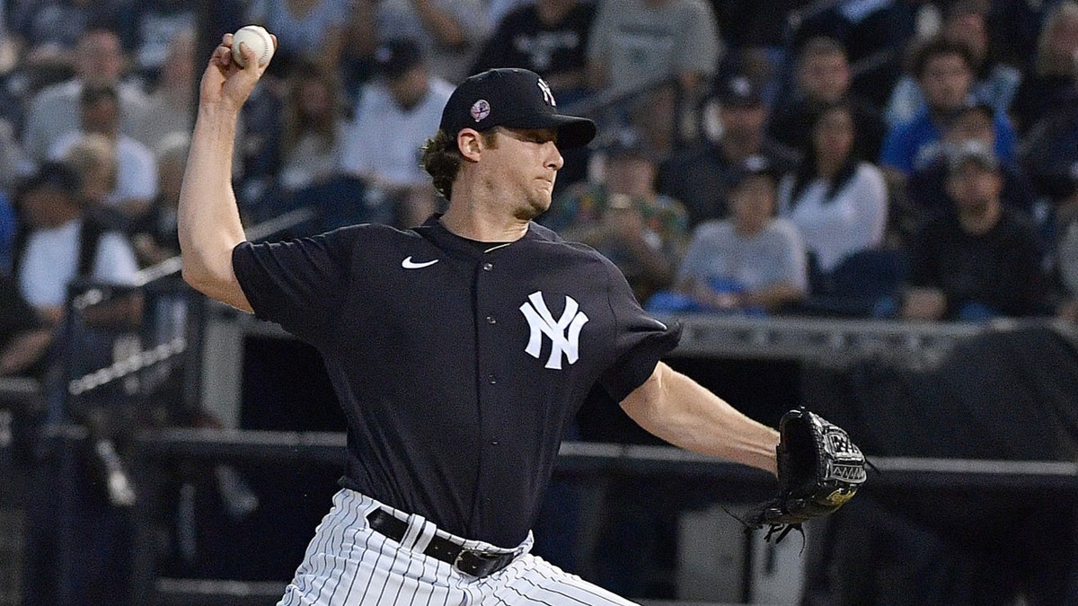 Gerrit Cole was the Yankees' prized free agent over the winter (Photo by Mark Brown/Getty Images)