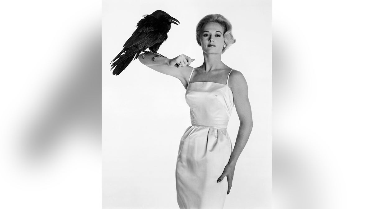 Tippi Hedren famously starred in Alfred Hitchcock's 'The Birds.'