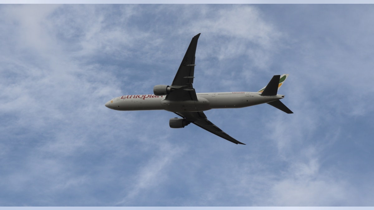 A charter evacuation flight after departing from Johannesburg's international airport.