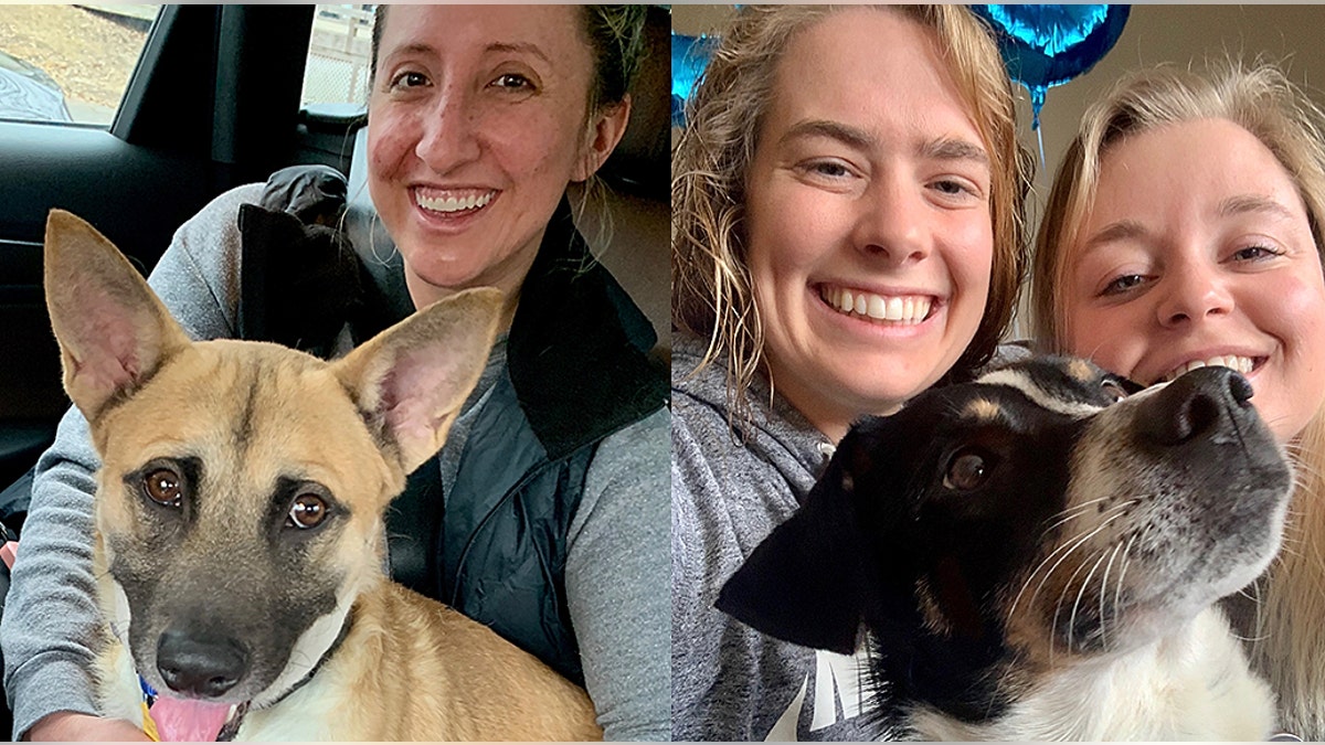 Foster mom Anna and foster dog Sundance (left) Rowdy and adoptive moms Sarah and Kailey (right