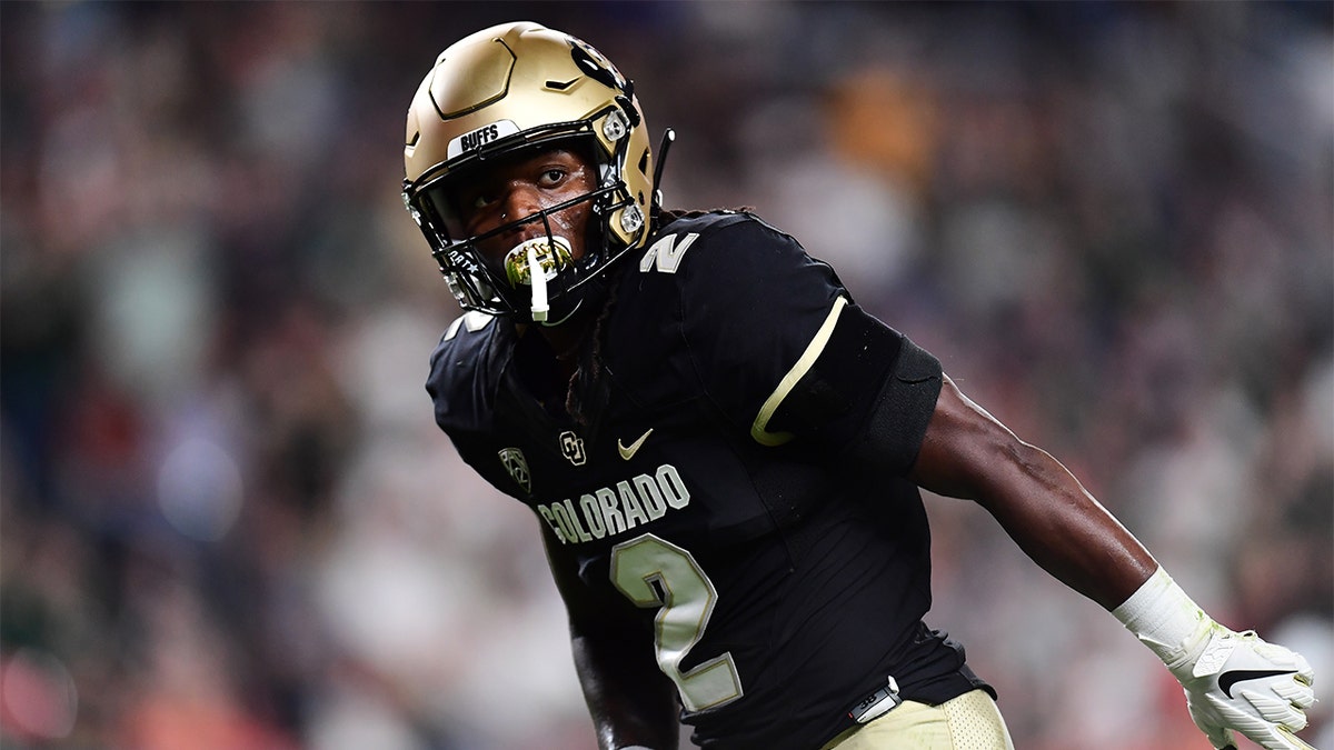 The Packers take Laviska Shenault Jr. (Ron Chenoy-USA TODAY Sports)