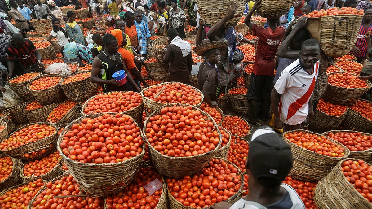 Citizens buy tomatoes from a vegetable market in the commercial capital Lagos, Nigeria. Lockdowns in Africa limiting the movement of people in an attempt to slow the spread of the coronavirus are threatening to choke off supplies of what the continent needs the most - food. (AP Photo/Sunday Alamba)