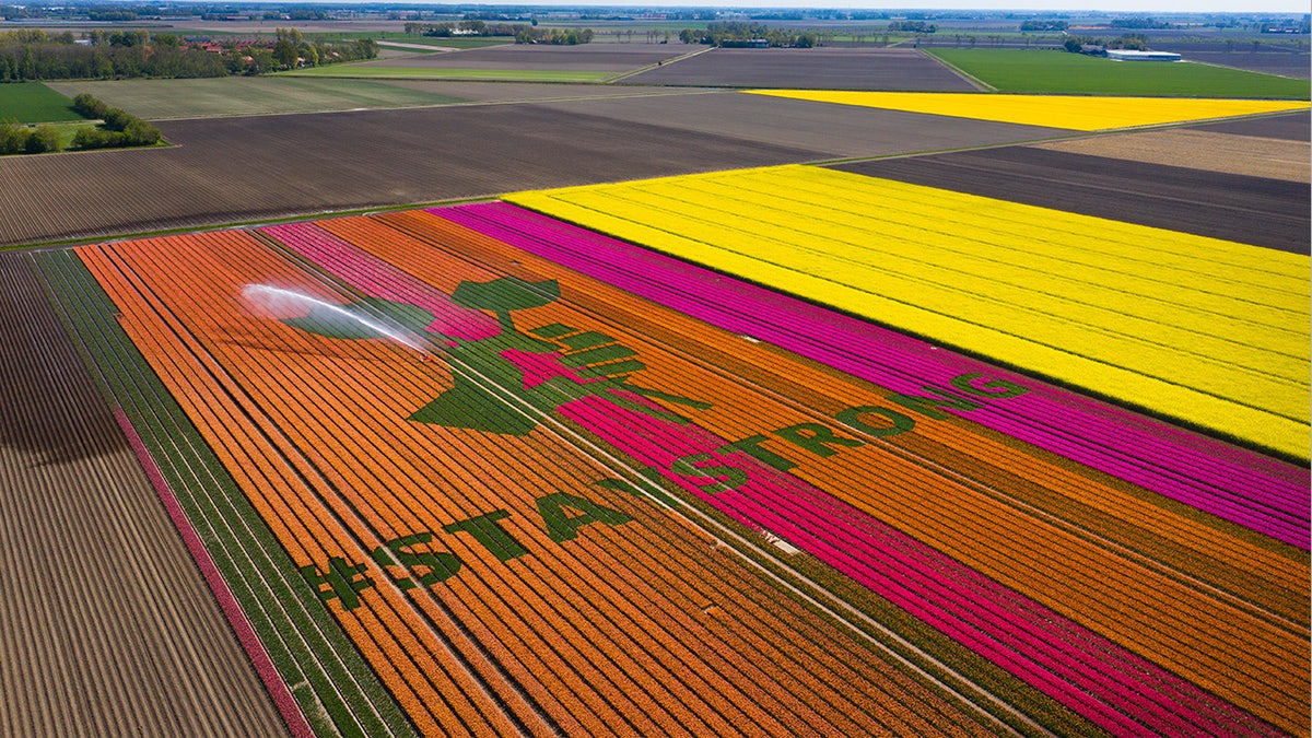Tulip farmers in the Netherlands are writing optimistic messages into their famous flowers to remind visitors they’ll always be welcome.  