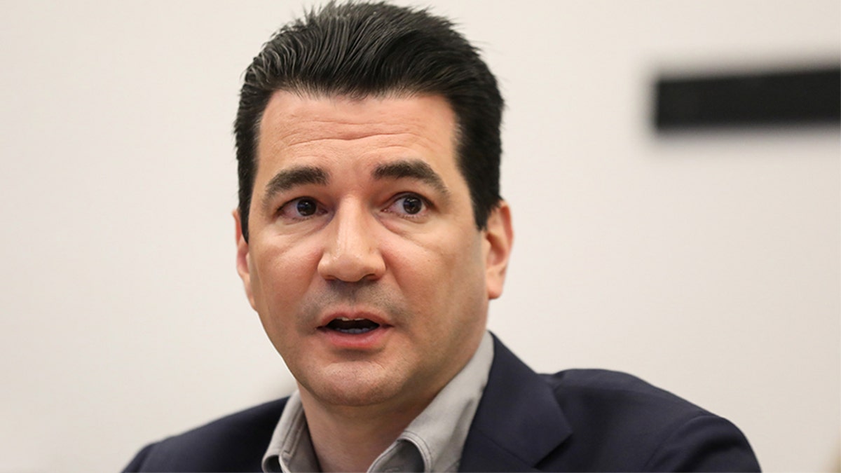Former Food and Drug Administration Commissioner Scott Gottlieb said he believes China was “not truthful” about the initial outbreak of the coronavirus. (REUTERS/Brendan McDermid, File)