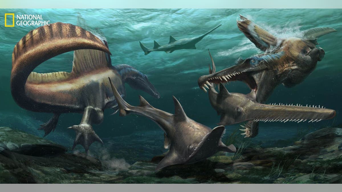 Two SpinosaurushuntOnchopristis, a prehistoric sawfish, in the waters of the Kem Kem river system in what is now Morocco. (JasonTreat, NG Staff, and Mesa Schumacher Art: Davide Bonadonna)